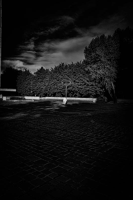 naufragi-04